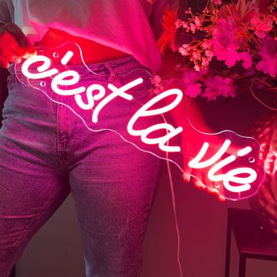 Neon Sign c'est la vie