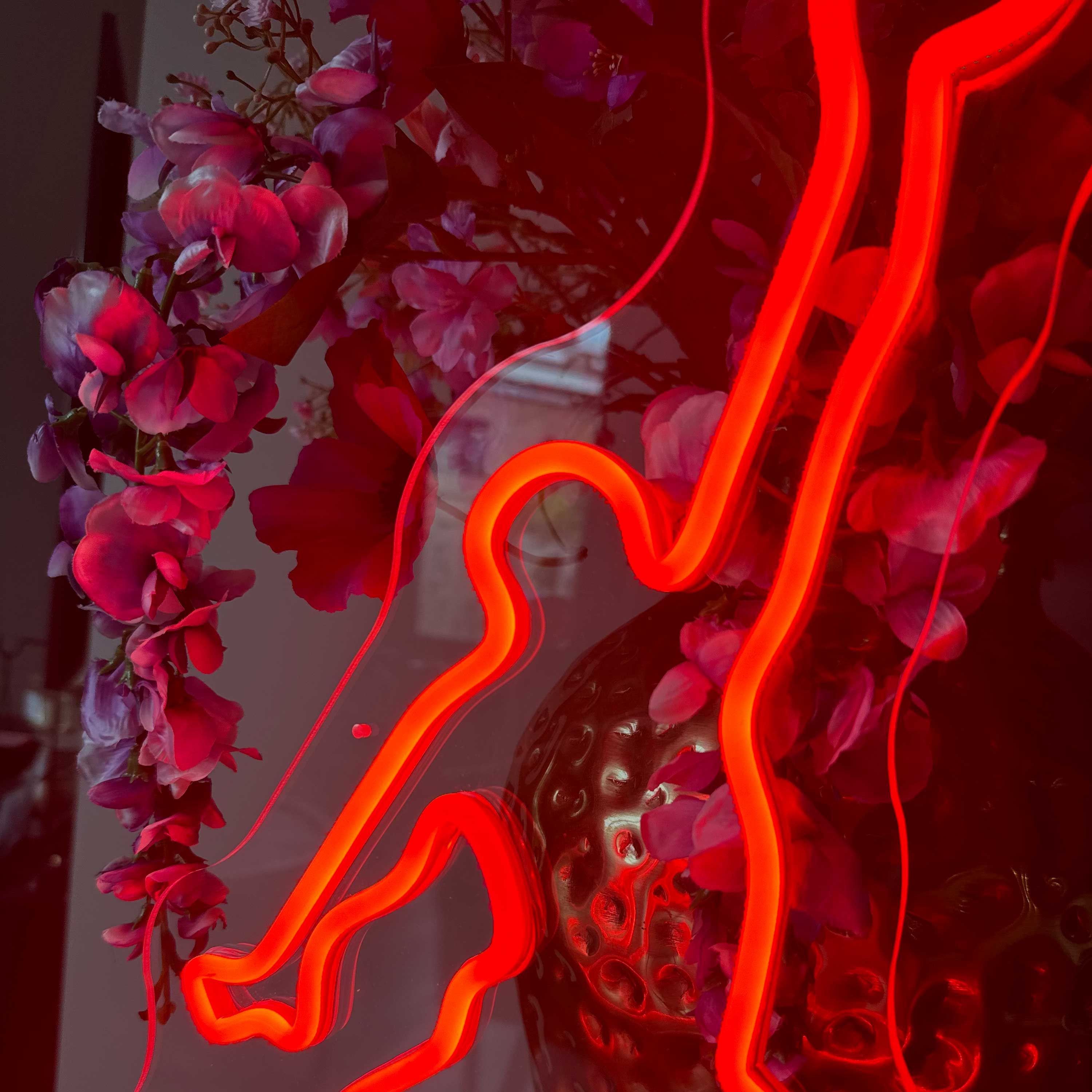 Neon Sign Jordan